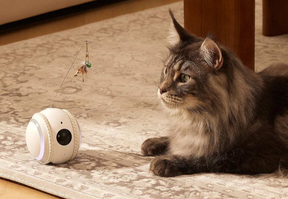 best pet security camera