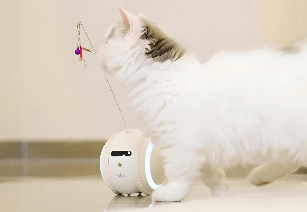 pet surveillance camera