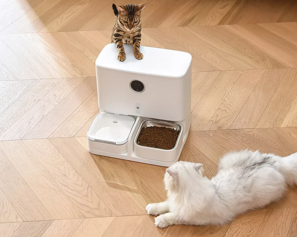 automatic cat feeder pets at home